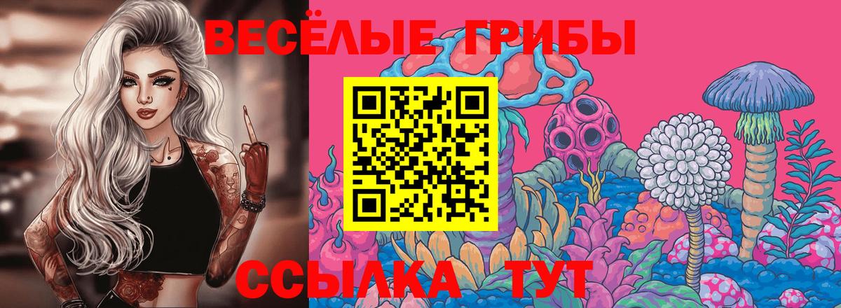 Галлюциногенные грибы прущие грибы Кунгур